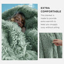 Bedsure GentleSoft Fluffy Sage Green Throw Blanket, Sage Green Decor for Room, Soft Cozy Fuzzy Plush Minky Thick Warm Sherpa Fleece Faux Fur Throw Blanket for Couch, Decorative Spring Gifts, 50x60 by CozyNest Decor