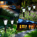 GIGALUMI Solar Outdoor Lights,Solar Lights Outdoor Waterproof 10 Pack,Cool White Solar Pathway Lights for Outside,Outdoor Lights Solar Powered Garden Decoration for Pathway,Patio,Lawn,Yard by GreenHaven Gardens