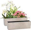 GardenBasix Elongated Self Watering Planter Pots 2-Pack Window Box 5.5 x 16 inch Indoor Home Garden Modern Decorative Pot for All House Plants Flowers Herbs (Coffee,2) by GreenHaven Gardens