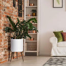 D'vine Dev 14 Inch Planter Pot with Stand, Mid-Century Tall Plant Pot with Legs for Indoor Plants, X-Large, White, 88-O-D-1 by GreenHaven Gardens