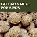 SWISSINNO No Mess Bird Feeder Lucerne Smart Birds for Fat Balls - Feed Birds, not mice & Rats! Robust & Reliable for Hanging - Green by CozyNest Decor