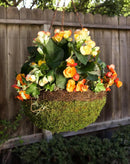 SuperMoss (29205 MossWeave Hanging Basket | Outdoor Hanging Planter with Moss | Decorative Plant Hanger for Porch, Balcony, Garden & Home Décor, Round with Wicker Rim, Large 16.5” D, Green by GreenHaven Gardens