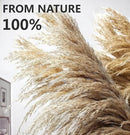 40" inch 10 Stems Pampas Grass Decor Tall, Pampas Grass Bouquet, Natural Dried Flowers for Wedding, Natural Home Decor, Wall Grass, Glam Decor by CozyNest Decor