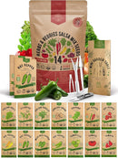 Organo Republic 14 Herbs & Veggies Salsa Mix Seeds Variety Pack - 5,180+ Non GMO Heirloom Herb, Tomato & Chili Pepper Seeds for Planting Outdoor & Indoor Home Gardening: Basil, Cilantro Onion, Peppers by GreenHaven Gardens
