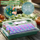 2 Pack Seed Starter Tray with Grow Light High Dome Seed Germination Kit 80 Cells with 4 LED Grow Lights Seedling Starter Kit with Smart Timer and 3 Modes for Home Gardeners, Indoor Greenhouse by GreenHaven Gardens