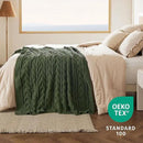 Bedsure Cable Knit Twin Blanket for Couch Bed - Breathable Chenille Chunky Knit Twin Blanket for Decorative Gift, GentleSoft Cozy and Warm for Winter and All Seasons, Green, 60x80 Inches by CozyNest Decor