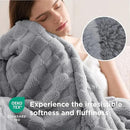Bedsure GentleSoft Blankets Queen Size for Bed - Super Soft Cozy Blanket for Women Men Girls, Large Fuzzy Fleece Throw for Bedroom Decor, Silver Grey, 90x90 Inches by CozyNest Decor
