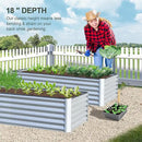 Domi Raised Garden Beds Outdoor, 6x3x1.5Ft Thickening Tall Metal Rectangular Deep Root Box Planter for Vegetables, Flowers, Herbs, and Succulents 1.5" Deep w/ 192 Gallon Capacity - Silvery by GreenHaven Gardens