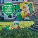 Miracle-Gro Water Soluble Lawn Food and Garden Feeder Bundle, Hose-End Feeding System for Lawns by GreenHaven Gardens
