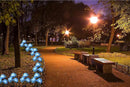 RAYLIDA Solar Lights Outdoor Decorative - 3 Pack Hydrangea Solar Garden Stake Lights Waterproof,Two Lightning Modes & Enlarged Solar Panel (Blue) by GreenHaven Gardens