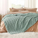 Bedsure GentleSoft Full Size Blankets for Bed Sage Green - Super Soft Cozy Fleece Blanket for Women Men Girls, Large Fuzzy Throws for Bedroom Decor, 84x90 Inches by CozyNest Decor