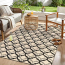 OLANLY Reversible Outdoor Rug 5x8 ft Clearance, Waterproof Outdoor Plastic Straw Rug with Interlacing Pattern, RV Mat for Patio, Camping, Balcony, Deck, Backyard, Black & Beige by CozyNest Decor