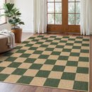 Lahome Checkered Easy Jute Dining Room Rug, 5x7 Indoor Outdoor Rugs for Patio Living Room, Neutral Checkerboard Non Slip Low Pile Green Carpet for Bedroom Office Backyard by CozyNest Decor
