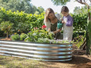 Galvanized Raised Garden Beds Outdoor // 8×4×1 ft Planter Raised Beds for Gardening, Vegetables, Flowers // Large Metal Garden Box // Patented Tool-Free Design (Silver) by GreenHaven Gardens