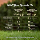 O.M. Scott and Sons Tall Fescue Blend Grass Seed, Fertilizer and Soil Improver, Naturally Crowds Out Weeds, Covers Up to 2,000 sq. ft., 8 lbs. by GreenHaven Gardens