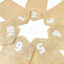 pinkblume 1st Birthday Burlap Photo Banner Garland Handmade Felt from Newborn to 12 Months with Gradient Dusty Pink Ribbon for Baby Girl First Birthday Monthly Milestones Party Decorations Supplies by TinyTreasures Baby Boutique