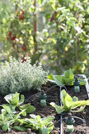 Blumat Drip Irrigation System - Tropf Patio and Deck Starter Kit - Automatic Plant Watering Devices - Easy Setup Self Watering System for Indoor - Prevents Overwatering by GreenHaven Gardens