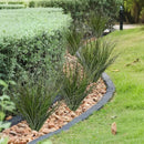 16PCS 17.3" Fake Plants Artificial Wheat Grass Greenery Plastic Plants Fake Grass Artificial Plants for Outdoor Decor Artificial Grass Plant with Greenery Stems for Indoor Home Decoration by CozyNest Decor