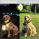 NASKY The Resin Handicraft Solar - Powered Hanging Lamp in The Shape of A Simulated Puppy of The Courtyard is Suitable for Places Such As Courtyards, Gardens and Balconies (Labrador) by GreenHaven Gardens