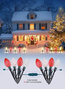 Double C9 Christmas Pathway Lights Outdoor - 2 Pack 13.5Ft 10 LED With 10 Marker Stakes for Walkway, Waterproof Plug-in C9 Strawberry Christmas Decorations for Driveway, Red & Warm White by GreenHaven Gardens