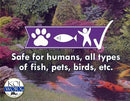 KoiWorx Defoamer - 32oz- Removes Foam from Decorative and Ornamental Ponds, Safe for Koi by GreenHaven Gardens