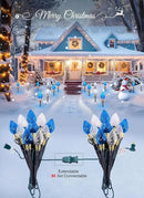Brightown 2 Pack Strawberry C9 Pathway Lights Outdoor - Total 34.8 Feet 20 LED C9 Walkway Lights, Christmas Outside Decorations for Lawn Holiday, Blue & Pure White by GreenHaven Gardens