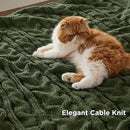 Bedsure Cable Knit Throw Blanket for Couch Bed - Breathable Chenille Chunky Knit Throw Blanket for Decorative Gift, GentleSoft Cozy and Warm for Winter and All Seasons, Green, 50x60 Inches by CozyNest Decor