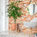 D'vine Dev Terracotta Planter with Natural Stand - 12 Inch Modern Round Flower Pot with Wood Planter Holder, Terracotta, 55-B-J-5 by CozyNest Decor