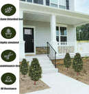 3FT Artificial Boxwood Bush Topiary Tree UV Resistance Rated with Spike. Easy to Push in The Ground.Plant Looks Great in a Planter Anywhere. Indoor/Outdoor Decor 2 Pack