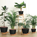 '- Uneed Plastic Flower Pot,5-Pack Plant Pots with Drainage 7/6.5/6/5.5/5 Inch,Self Watering Pots for Indoor Plants,Planters for Indoor Outdoor Plants (Black) by CozyNest Decor