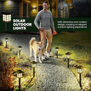 GIGALUMI Solar Outdoor Lights，6 Pack LED Solar Lights Outdoor Waterproof, Solar Walkway Lights Maintain 10 Hours of Lighting for Your Garden, Landscape, Path, Yard, Patio, Driveway by GreenHaven Gardens