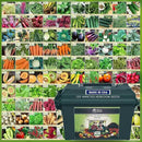 Garden Seeds Vegetable Variety Pack for Planting - Grow 125 Varieties of Heirloom Non GMO Quick Sprouting Veggies - Premium Seed Vault by Victory Gardens by GreenHaven Gardens