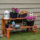 Sunnydaze 2-Tier Meranti Outdoor Wood Plant Stand - Indoor Plant Bench with Teak Oil Finish - 24-Inch by GreenHaven Gardens