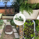 Galvanized Raised Garden Bed Kit Outdoor Metal Garden Planter Box for Backyard Gardening, Planting Vegetables, and Patio (59"x23.6"x11.8") by GreenHaven Gardens