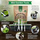 25 Most Popular Herb Seeds Variety Pack - 11,700 Non-GMO Heirloom Seeds for Planting Herbs in Individual Seed Packets for Hydroponic, Indoor & Outdoor Gardening by GreenHaven Gardens