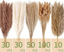 220 PCS Dried Flower Bouquet – Pampas Grass, Floral Decor for Home, Wedding, and Boho Style | Perfect for Vases, Fall, Spring, Summer, and Winter Arrangements by CozyNest Decor