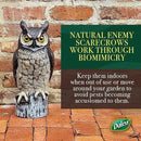Dalen Large Fake Owl Decoy to Scare Birds Away - Garden Scarecrow Provides Natural Pest Control - 16" Tall - Great Horned Owl by CozyNest Decor