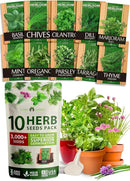 HOME GROWN 10 Herb Seeds for Planting 3,000+ Non-GMO Heirloom Seeds | Extra Large Variety Pack Herb Kit – Indoor Outdoor & Hydroponic | Culinary Seed Set | Grow Your Own Herbs | Gift for Beginners by GreenHaven Gardens