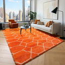 ONASAR Rugs for Living Room Bedroom, 5x8 Washable Fluffy Orange and White Area Rug, Geometric Boho Soft Plush Shaggy Fuzzy Floor Carpet for Nursery Kids Girls Boys Teen Dorm Home Decor Aesthetic by TinyTreasures Baby Boutique