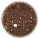 Money Tree Potting Soil, Soil Mix for Planting or Repotting Guiana Chestnut, Soil Blended to Properly Grow Money Tree Plants - (1 Quart Bag) by GreenHaven Gardens