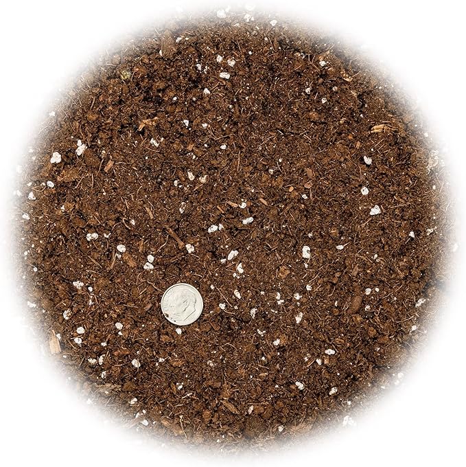 Money Tree Potting Soil - 20 Quart - Soil Mix for Planting or Repotting Guiana Chestnut, Soil Blended to Properly Grow Money Tree Plants (4 Bags of 5 Quart), photo 2 of 6