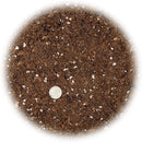 Money Tree Potting Soil - 20 Quart - Soil Mix for Planting or Repotting Guiana Chestnut, Soil Blended to Properly Grow Money Tree Plants (4 Bags of 5 Quart) by GreenHaven Gardens