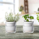 D'vine Dev 4 Inch Design Self Watering Planter for Indoor Plants, White Terracotta Pots with Cylinder Glass Cup, Set of 2, 37-Y-A-2 by GreenHaven Gardens