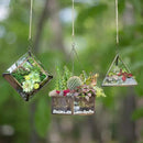 Deco Glass Geometric DIY Terrarium, Succulent & Air Plant- Hanging Mini Hexagon Shaped for Indoor Gardening Decor- Create Your own Flower, Fern, Moss Centerpiece- Amazing Holiday and Wedding Gift by GreenHaven Gardens