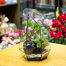 NCYP Large Geometric Terrarium - 16 Inches Tall Irregular Open Glass Terrarium Pot - Home Garden Tabletop Decoration Planter for Air Plants Succulents, Handmade (NO Plants, No Door) by CozyNest Decor