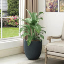 Kante 14 Inch Dia Round Concrete Planter, Indoor Outdoor Large Plant Pot with Drainage Hole and Rubber Plug for Home Patio Garden, Dark Gray by GreenHaven Gardens