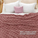 Bedsure GentleSoft Blankets Queen Size for Bed - Super Soft Cozy Blanket for Women Men Girls, Large Fuzzy Fleece Throw for Bedroom Decor, Dusty Pink, 90x90 Inches by CozyNest Decor