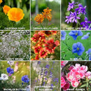 Wildflower Seeds - Rocky Mountain Mix, 2 oz (80,000+ Seeds) – 18 Non-GMO Varieties – Bulk Pollinator-Friendly Blend for Planting by GreenHaven Gardens