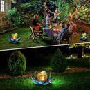 Solar Light Outdoor(2Pack), Art Crackle Globe Glass Lotus Decoration, Solar LED Waterproof Blue Metal Flower Lights for Patio,Lawn,Walkway,Tabletop by CozyNest Decor