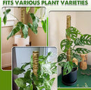 DUSPRO Natural Stackable Moss Pole for Plants Monstera Potted Plant Stakes for Indoor Plants Extendable Plant Pole Moss Sticks for Plants Climbing Vine Supporting Monstera Trellis 10Pcs 22'' by GreenHaven Gardens